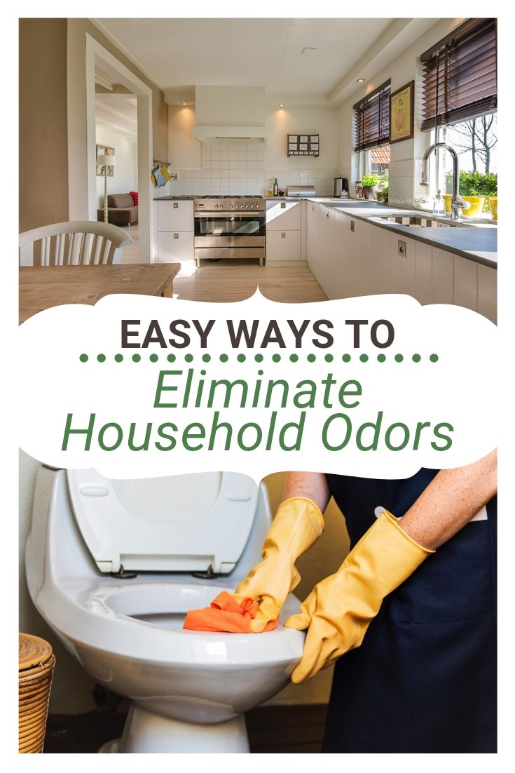 10 Best Odor Eliminator Ideas for Your Home Love My Drops